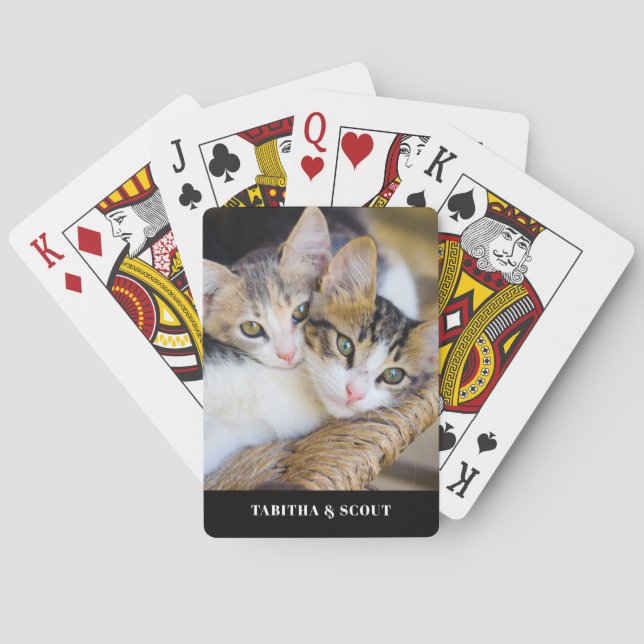 Cat Photo Namn Casinokort (Baksidan)