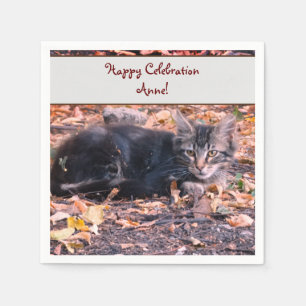 Cat Photo Pappersservett