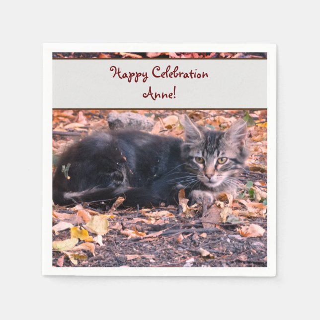 Cat Photo Pappersservett (Framsidan)