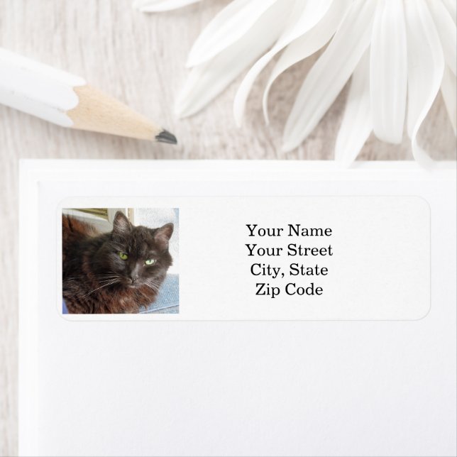 Cat Photo Personlig Returadress Etikett (Insitu)