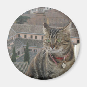 Cat Photo Standard, 5,7 cm runda magneter
