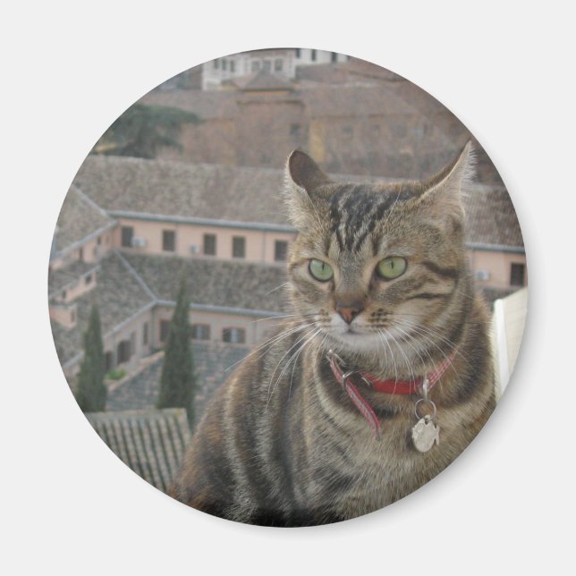 Cat Photo Standard, 5,7 cm runda magneter (Framsidan)