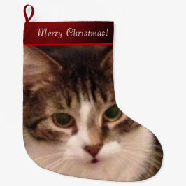 Cat Photo Stor Julstrumpa