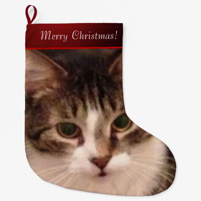 Cat Photo Stor Julstrumpa (Framsidan)