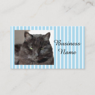 Cat Photo Visitkort