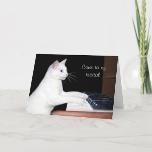 Cat piano skäl kort