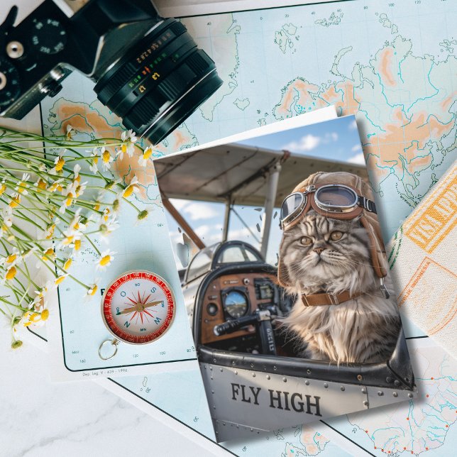 Cat Pilot & Airplane, Coola Funny Aviation Birthda Kort (Skapare uppladdad)