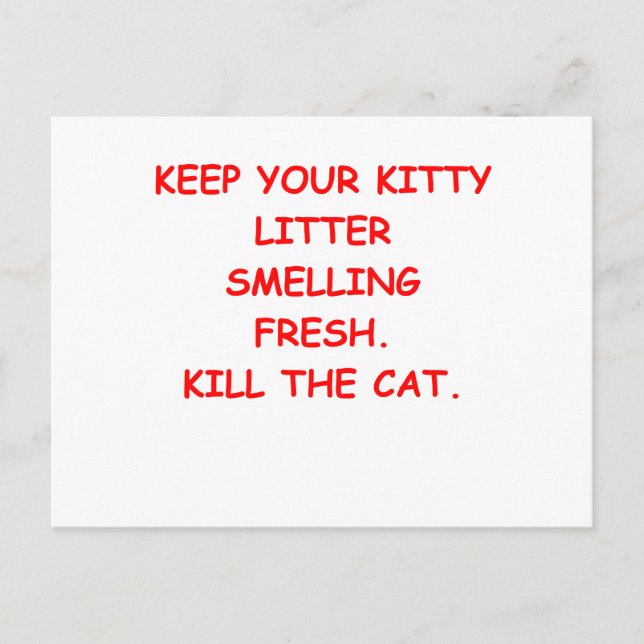CAT.png Vykort (Framsida)