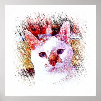 CAT PORTRÄTT ANGEL Poster