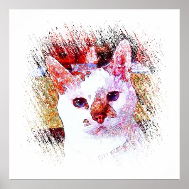 CAT PORTRÄTT ANGEL Poster (Framsidan)