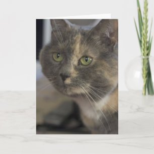 Cat Porträtt-kort Kort