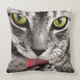 Cat Porträtt Kudde