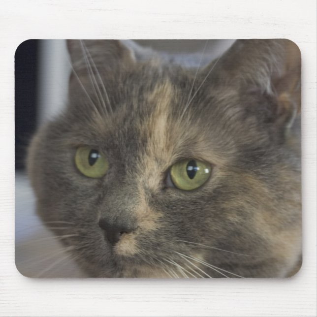 Cat Porträtt Mousepad Musmatta (Framsidan)