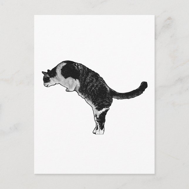 Cat Pose Joy Vykort (Framsida)