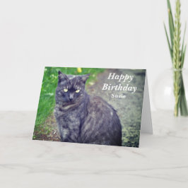 Cat Posing i Sitta i Grattis på födelsedagen Kort