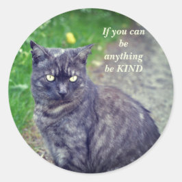 Cat Poson på en Walk Motivational Runt Klistermärke