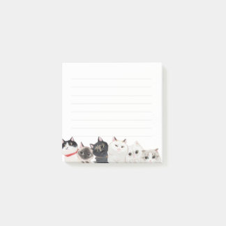Cat Post it Note Post-it Block