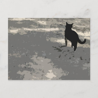 Cat Postcard 010 Vykort