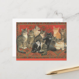 CAT POSTCARD-ILLUSTRATION VYKORT