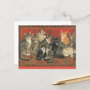 CAT POSTCARD-ILLUSTRATION VYKORT