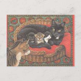 Cat Postcards Vykort