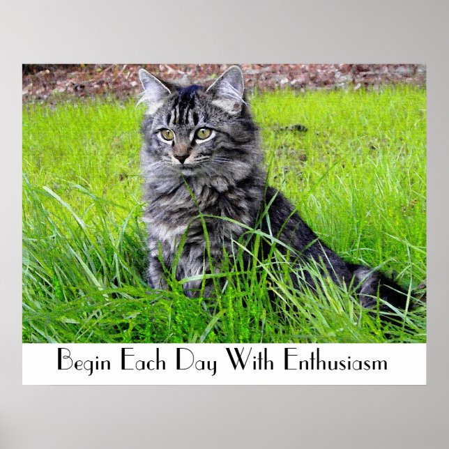 CAT-POSTER POSTER (Framsidan)