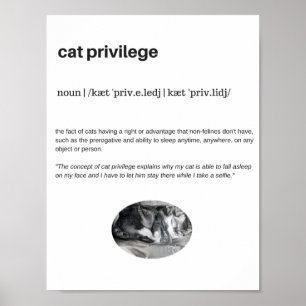 Cat privilege lustiga citattecken vitt poster