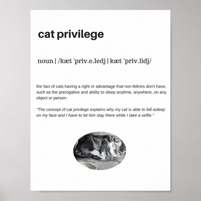 Cat privilege lustiga citattecken vitt poster (Framsidan)