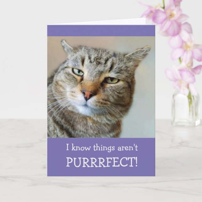 Cat Pun och Joke blir bra Kort (Orkide)