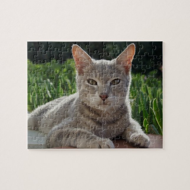 Cat Puzzle Pussel (Horisontell)