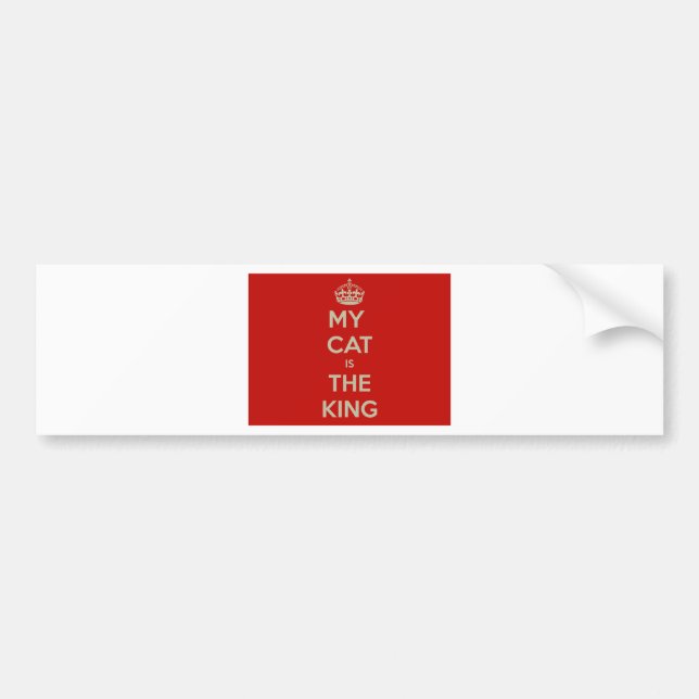 Cat Qoute Bildekal (Framsidan)