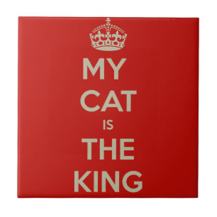 Cat Qoute Kakelplatta