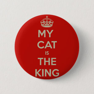 Cat Qoute Knapp