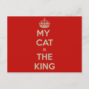 Cat Qoute Vykort