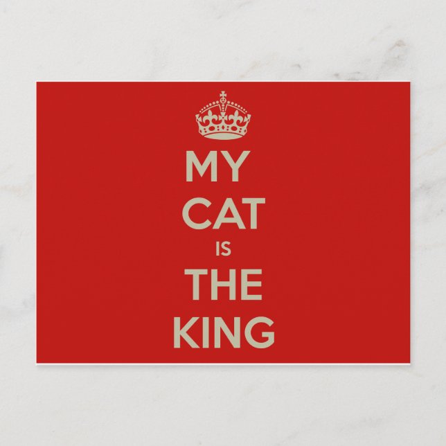 Cat Qoute Vykort (Framsida)