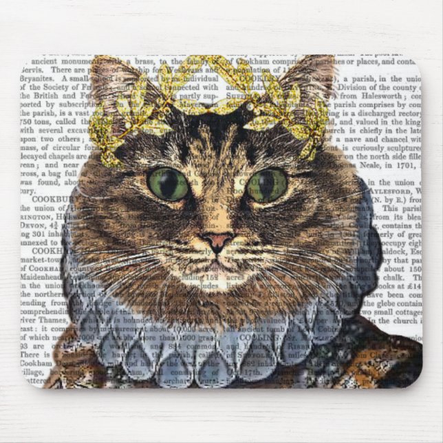 Cat Queen Musmatta (Framsidan)