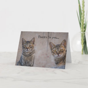 Cat Rädding Kattunge Älskare - tackkort
