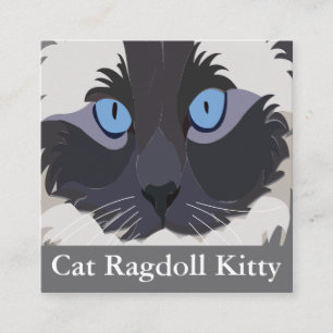 Cat Ragdoll Blue Ögon Kattunge Fyrkantigt Visitkort