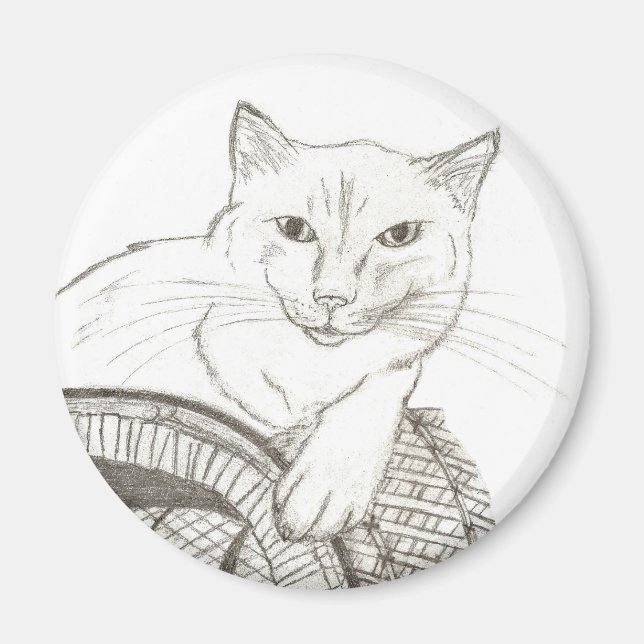 Cat Ragdoll Porträtt Magnet (Framsidan)