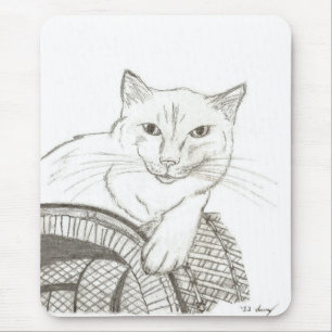 Cat Ragdoll Porträtt Mousepad Musmatta