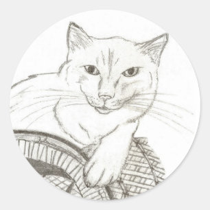 Cat Ragdoll Porträtt Round Stickers - uppsättning  Runt Klistermärke