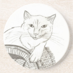 Cat Ragdoll Porträtt Underlägg