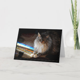 Cat Rainbow Bridge-kondoleans eller hälsning Kort