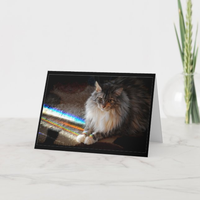 Cat Rainbow Bridge-kondoleansmeddelande eller häls Kort (Framsida)