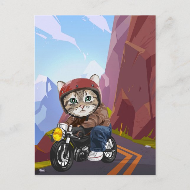 Cat Riding Motorcycle on Mountain Road Vykort (Framsida)