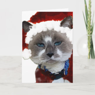 Cat Santa Claws Christmas Maureen Girard Blue Eye Tack Kort