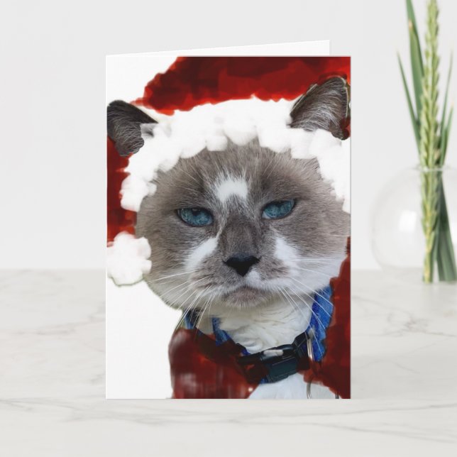 Cat Santa Claws Christmas Maureen Girard Blue Eye  Tack Kort (Framsida)