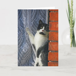 Cat Sayin'Hi Kort