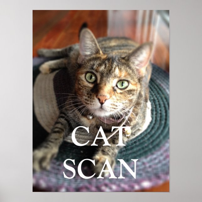 CAT SCAN-POSTER POSTER (Framsidan)