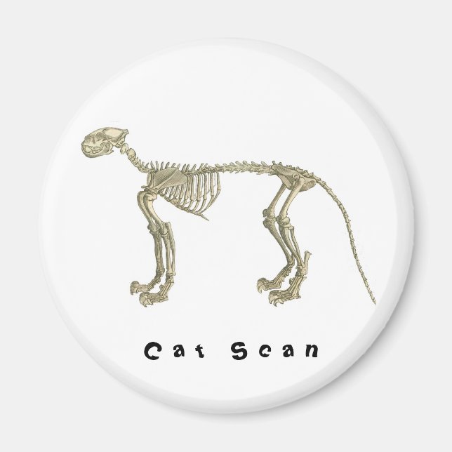 Cat Scan Skeleton Magnet (Framsidan)